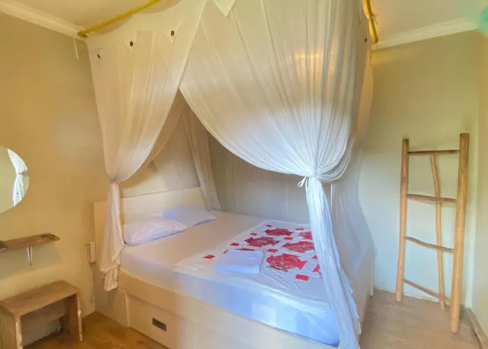 ベッド・アンド・ブレックファスト Damuh Backpacker House *